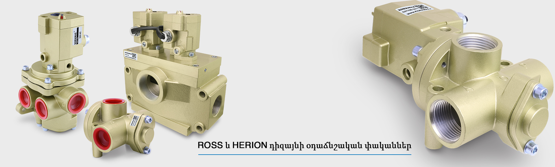 Օդաճնշական փական - Ross դիզայնի փական - Herrion դիզայնի փական